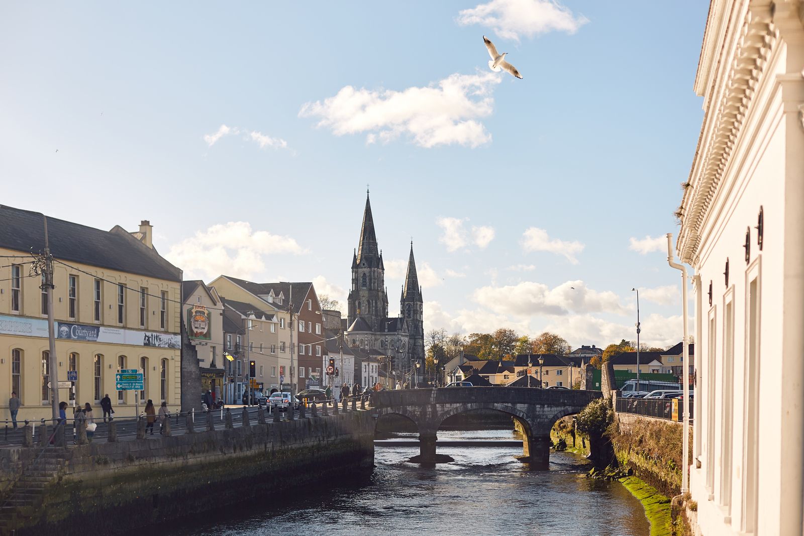 Cork City mit St. Fin Barres Cathedral und River Lee